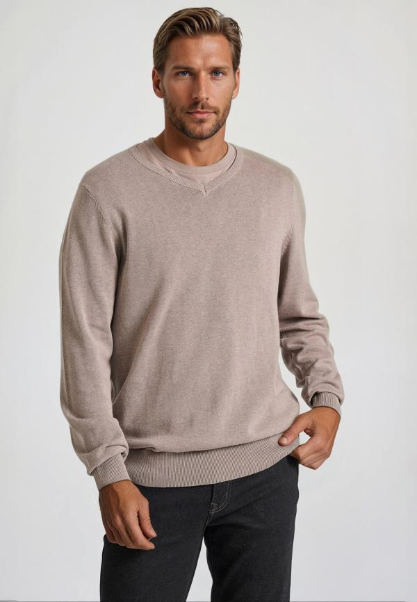 Ανδρικό πουλόβερ με V λαιμόκοψη - The essentials