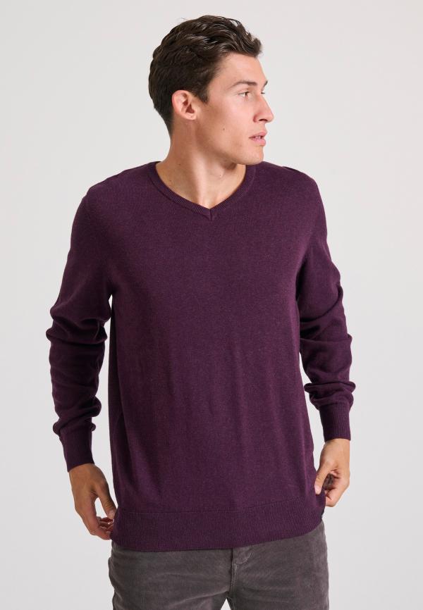 Ανδρικό πουλόβερ με V λαιμόκοψη - The essentials